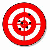 Bulls Eye Target